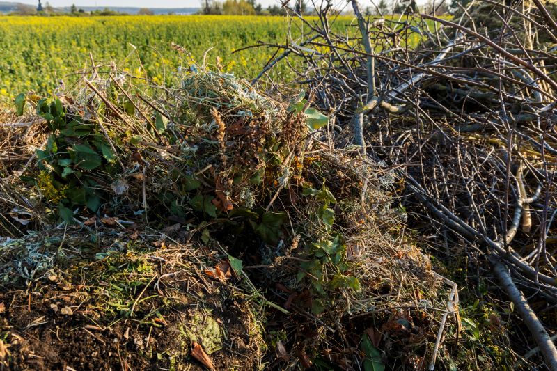 Brush Pile Cleanup