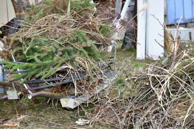 Brush Pile Cleanup