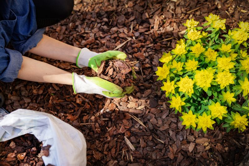 Black Mulch Installation in Ventura County, CA