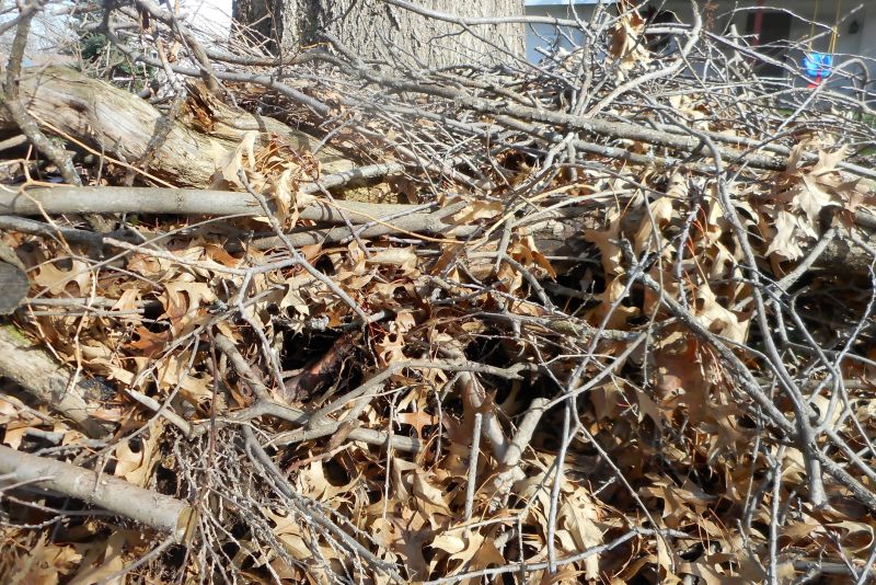 Common Pitfall to Avoid