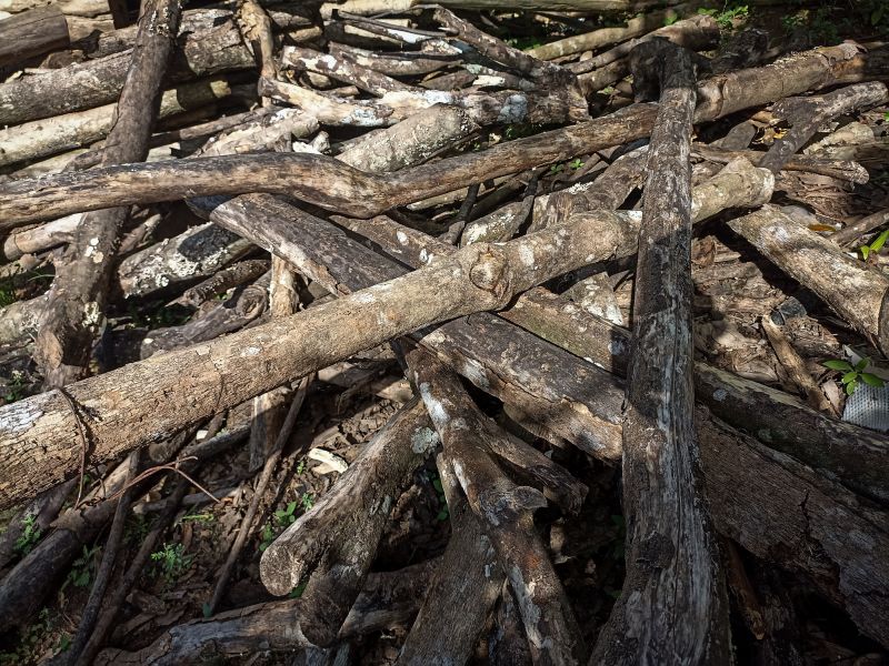Completed Brush Pile Cleanup