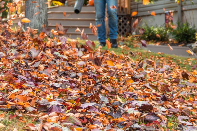 Fall Lawn Cleanup Service in Ventura County, CA