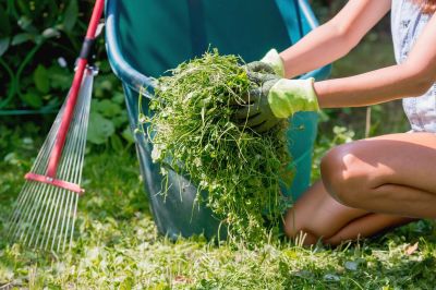 Fall Lawn Cleanup Service in Ventura County, CA
