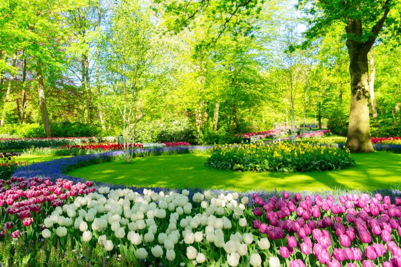 Flower Landscaping in Honolulu, HI