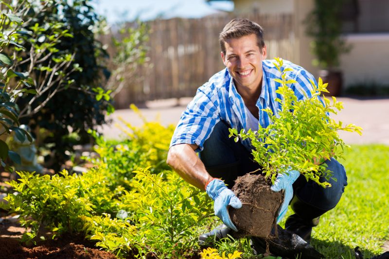 Hedge Landscaping in Honolulu, HI
