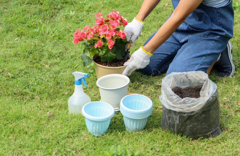 Home Gardening Service in Honolulu, HI