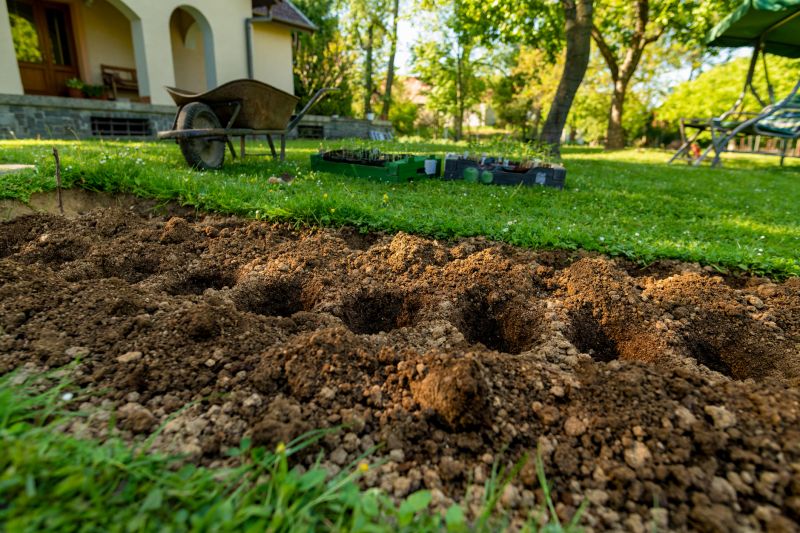 Landscape Planting Service in Ventura County, CA