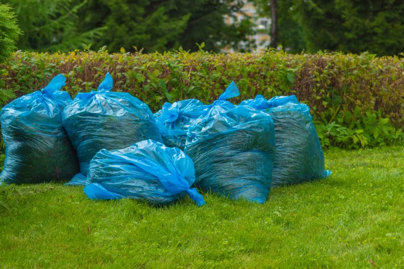 Lawn Debris Cleanup in Ventura County, CA
