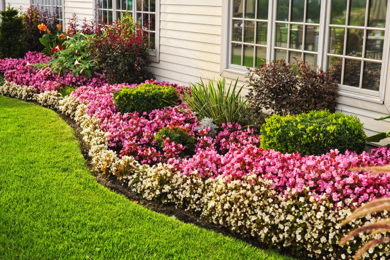 Privacy Shrub Installation in Ventura County, CA