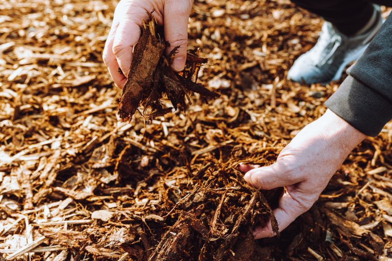 Residential Mulching in Honolulu, HI