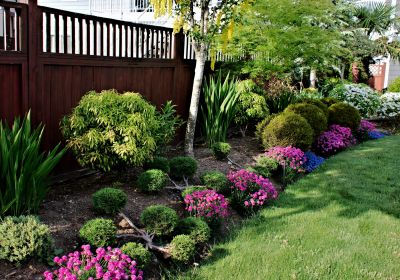 Shrub Landscaping in Ventura County, CA