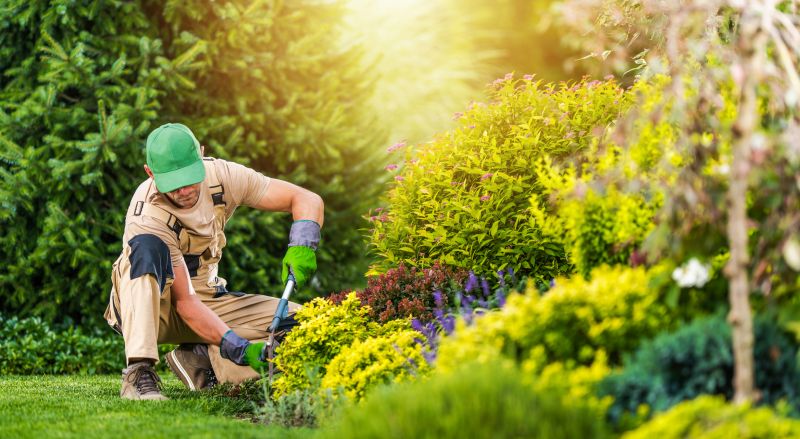 Garden Planting Service in Ventura County, CA